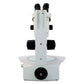 Z4 Zoom Embryo-GLO Stereoscope - LW Scientific